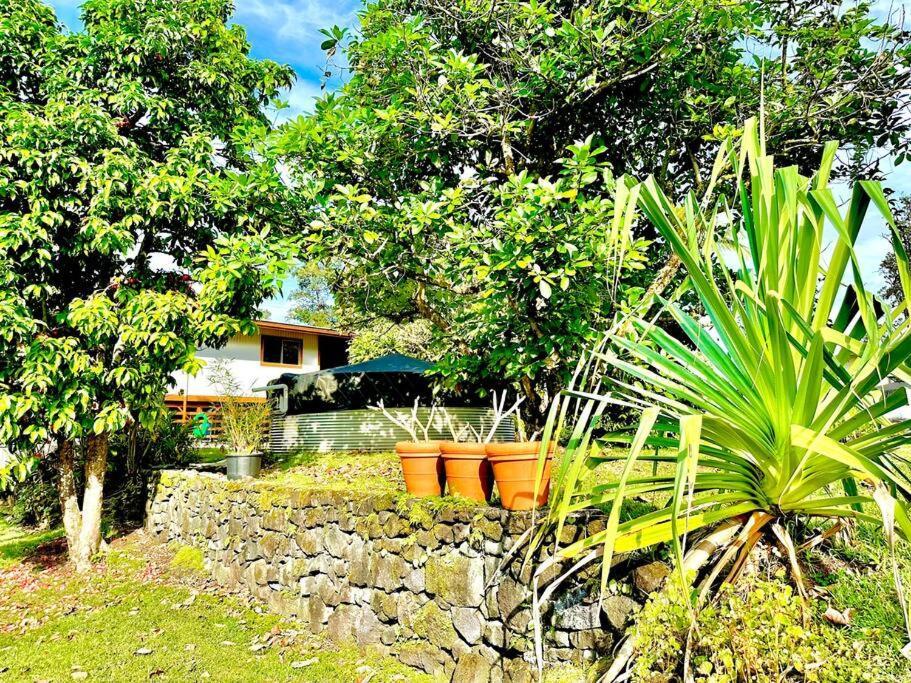 Home Near Volcano National Park, Hilo, Kehena Keaau Eksteriør billede