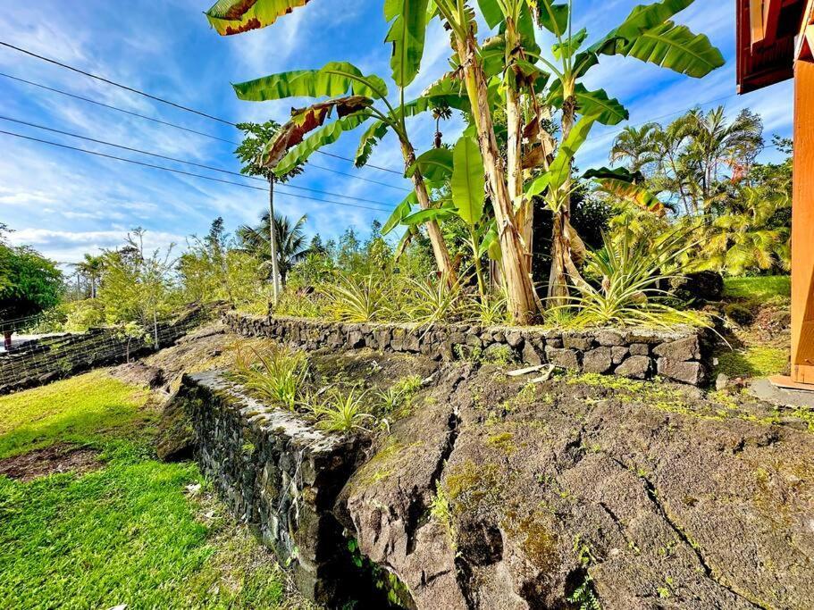 Puna Zen Botanical Garden Retreat Keaau Eksteriør billede